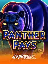 Playtech 394