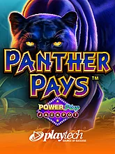 Playtech 437